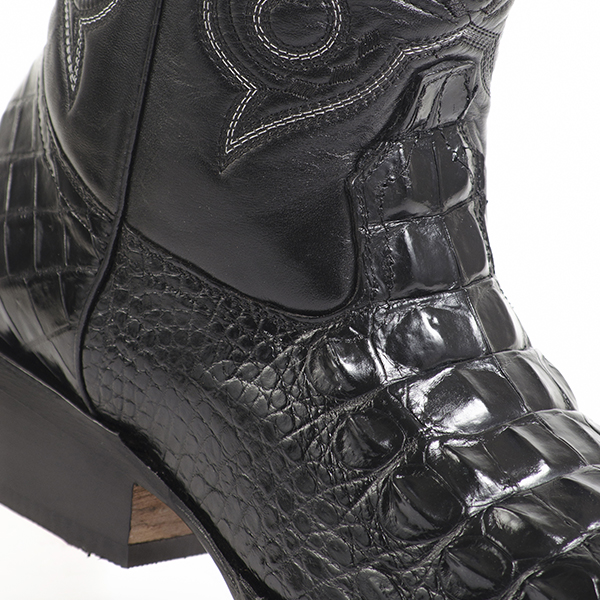 Bota8